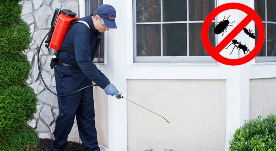 Banaz Kene İlaçlama böcek ilaçlama ve haşere kontrolü — ilaclama-tr.com